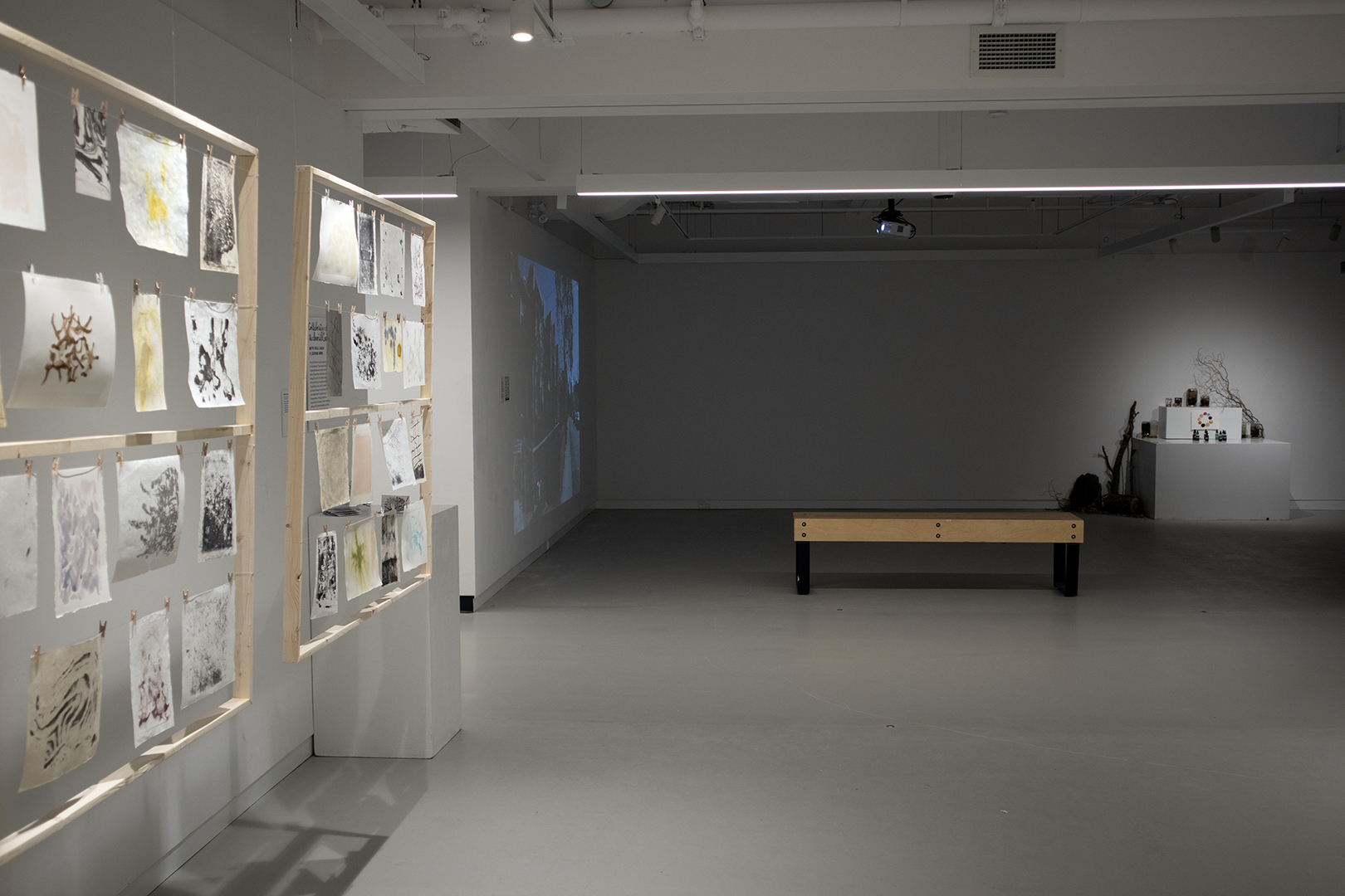 Exhibition documentation showing printmaking, audio/video and pigment research.