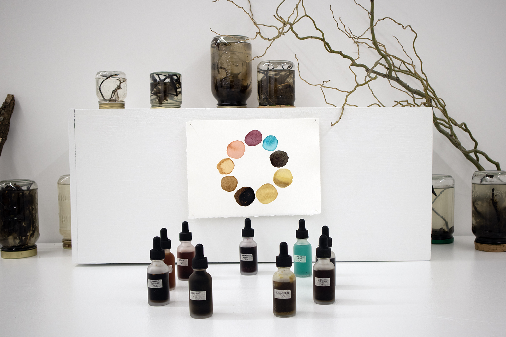 Exhibition photo documentation of pigment research display, detail photo of inks made with material gathered from the creek.