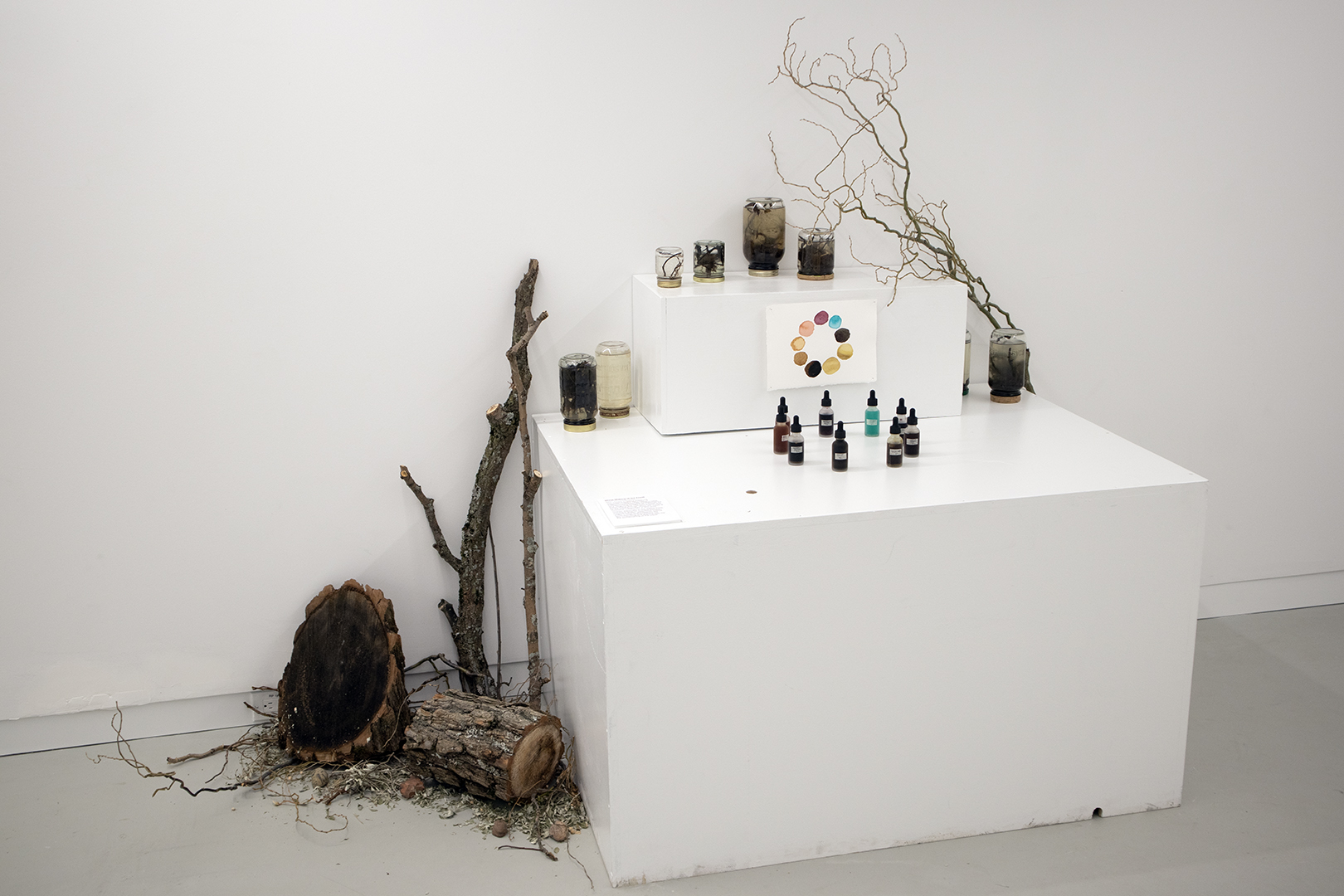 Exhibition photo documentation of pigment research display.