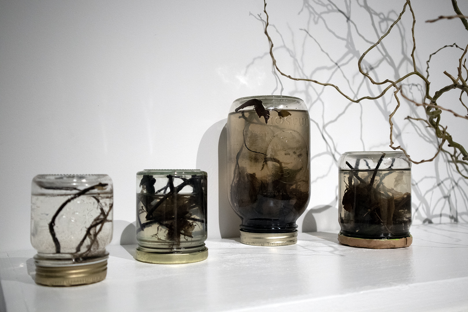 Exhibition photo documentation of pigment research display, detail photo of water gathered from the creek.